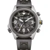 Sale Citizen Promaster Land