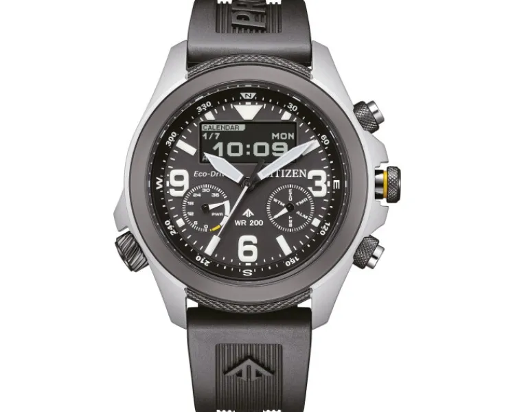 Sale Citizen Promaster Land