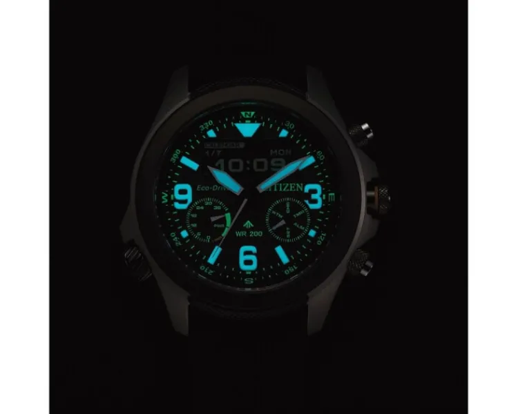 Sale Citizen Promaster Land