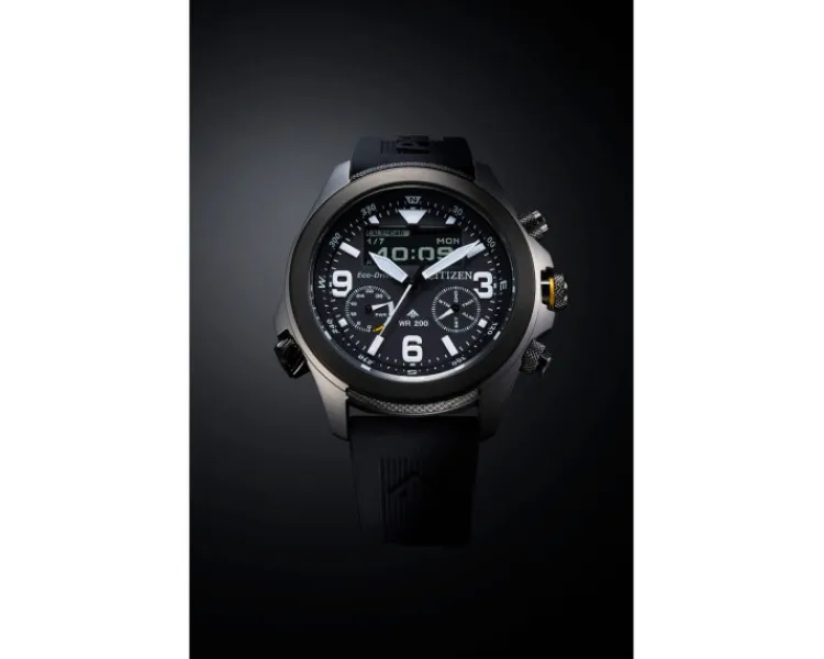 Sale Citizen Promaster Land