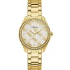 Clearance Guess Sugar