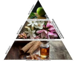Elixa Patyczki zapachowe - dyfuzor Honeysuckle Galbanum (430 ml)< Patyczki Zapachowe - Dyfuzory