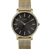 New Timex Transcend