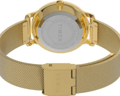 Best Timex Trend